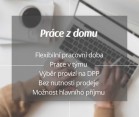 Práce z pohodlí domova